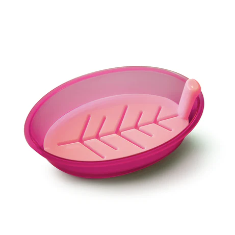 Dove soap Holder - Image 3
